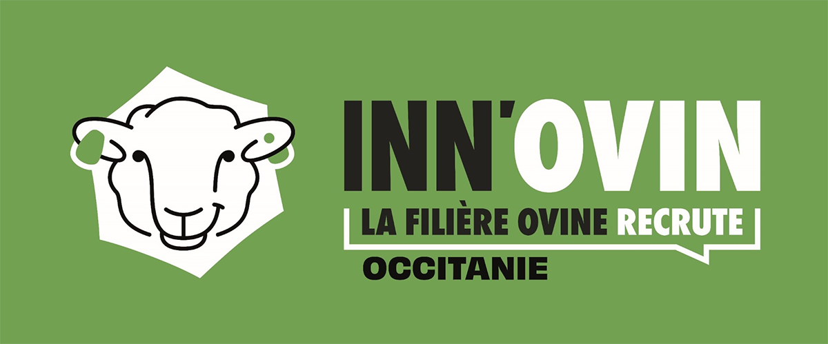 La Filière Ovhine Recrute